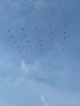 Load image into Gallery viewer, Course:  Drone Light Show System Training